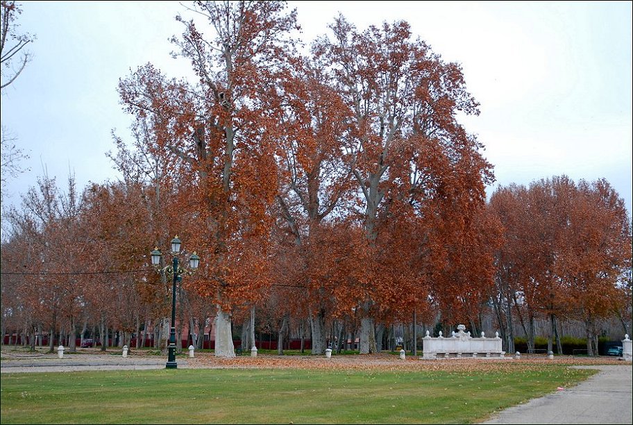 Foto de Aranjuez (Madrid), España