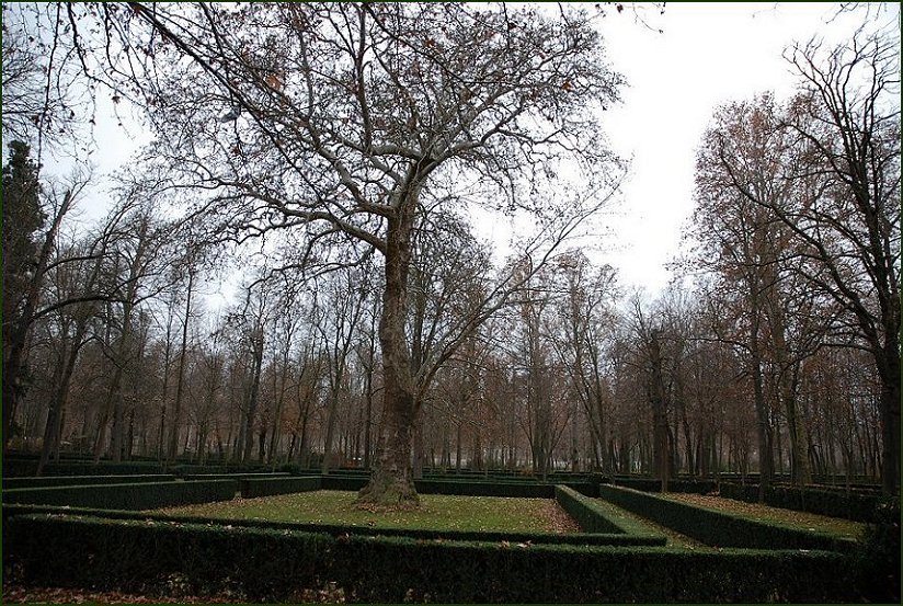 Foto de Aranjuez (Madrid), España