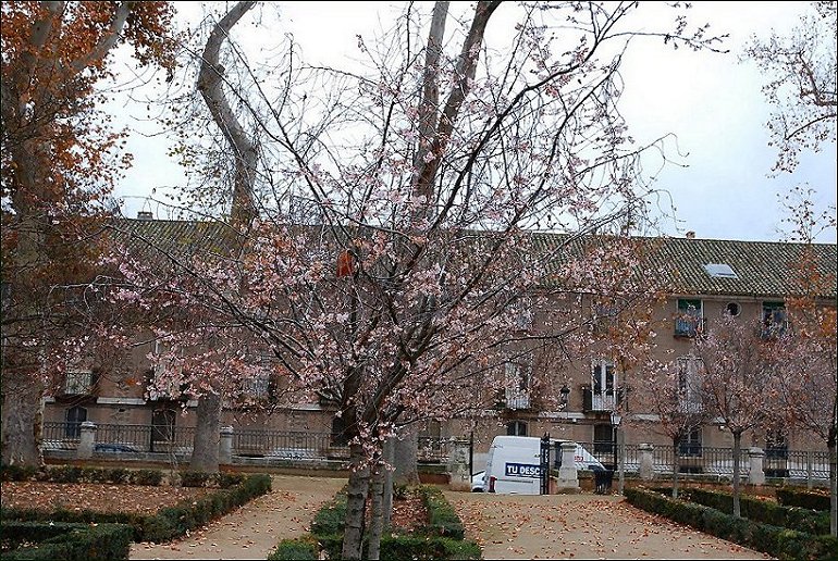 Foto de Aranjuez (Madrid), España