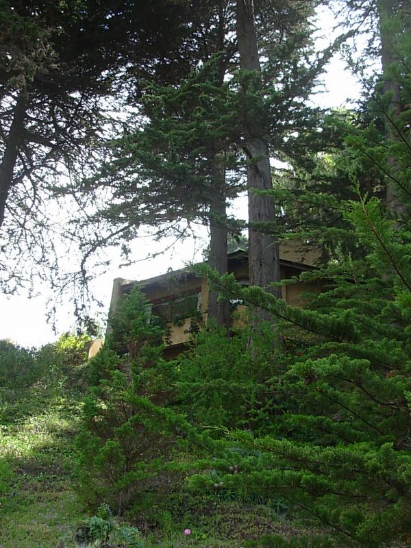 Foto de zapallar, Chile