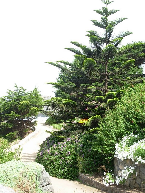 Foto de ZAPALLAR, Chile