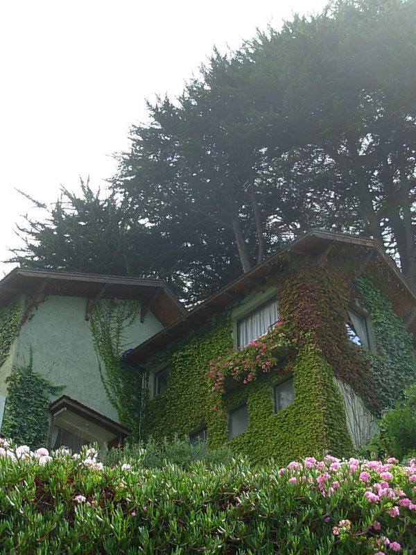 Foto de ZAPALLAR, Chile