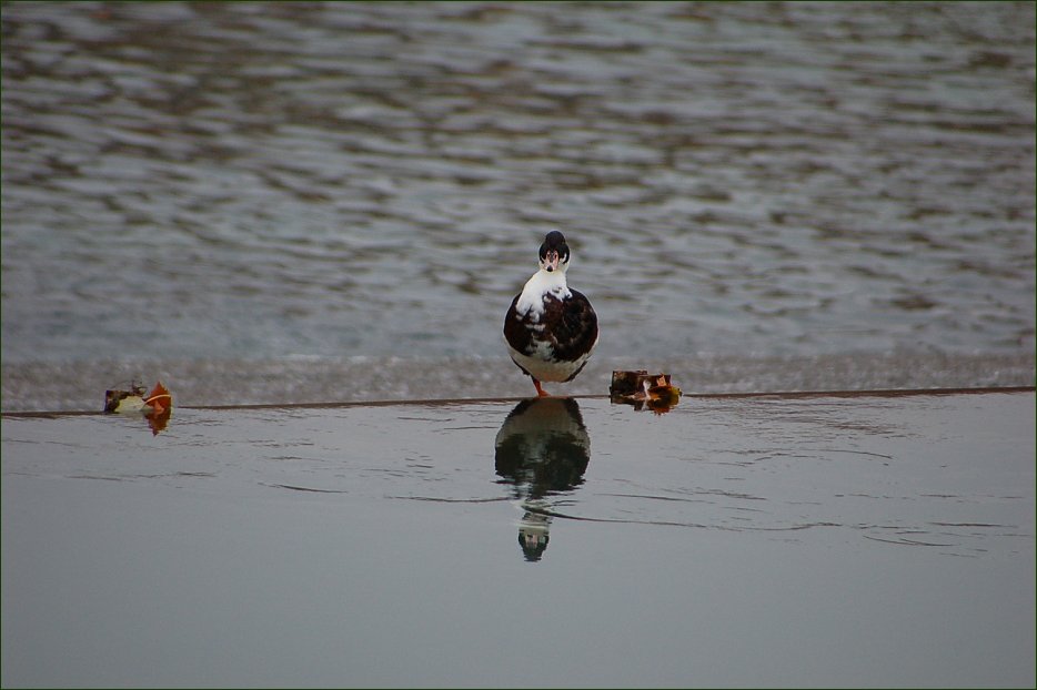 Foto de Aranjuez (Madrid), España