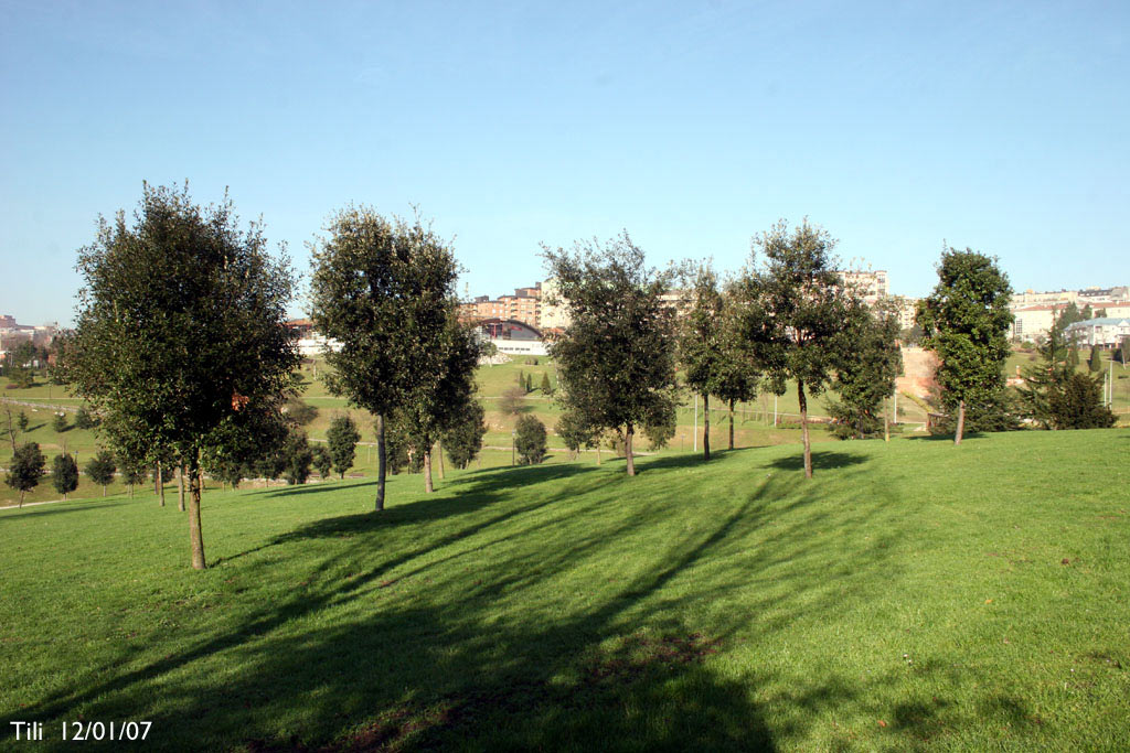 Foto de Oviedo (Asturias), España