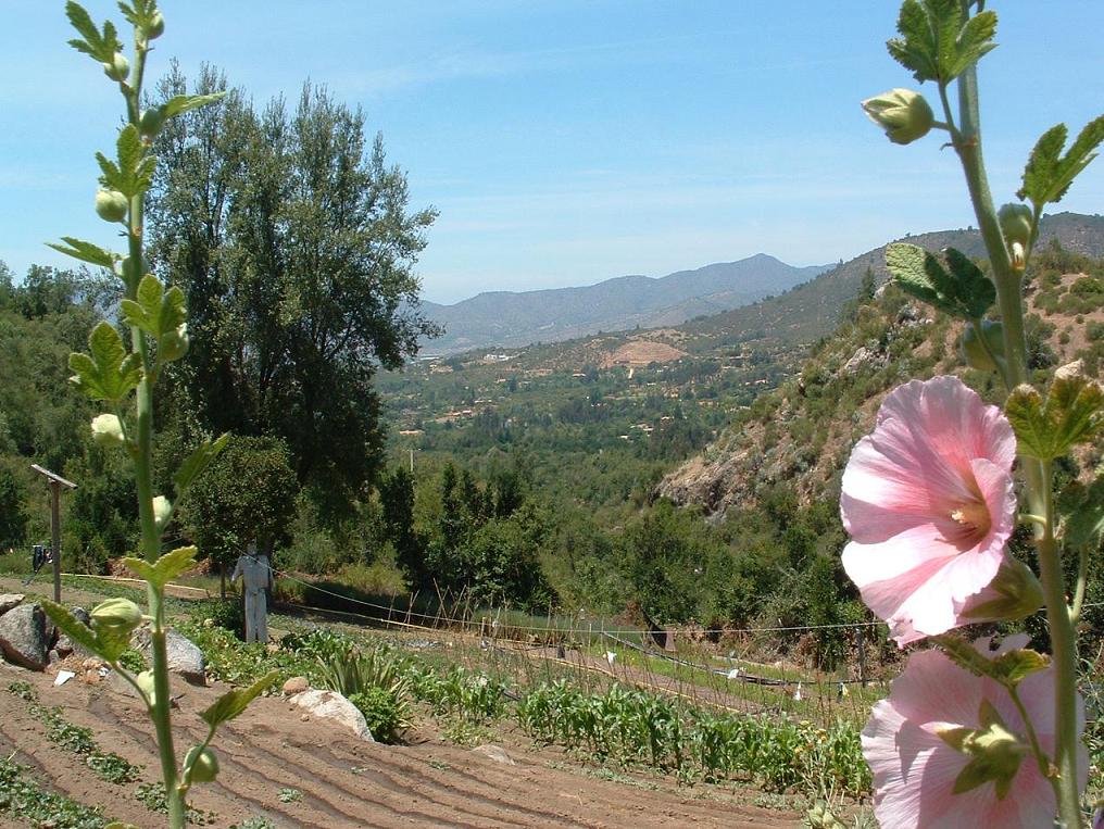 Foto de Curacaví, Chile