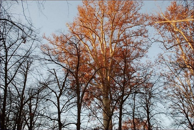Foto de Aranjuez (Madrid), España