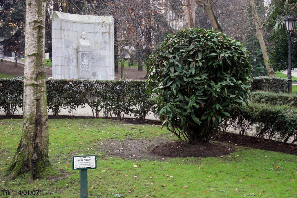 Foto de Oviedo (Asturias), España