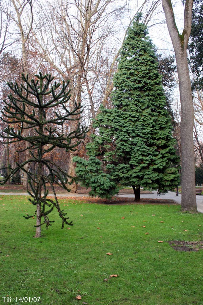 Foto de Oviedo (Asturias), España