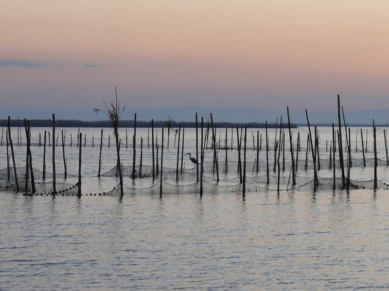 Foto de Valencia (València), España