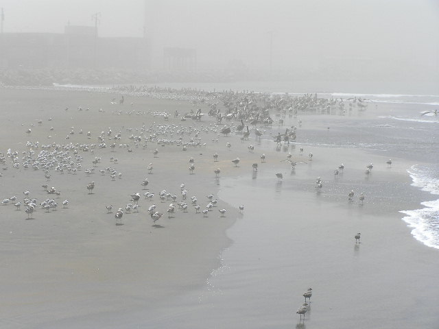 Foto de SALAVERRY-TRUJILLO, Perú