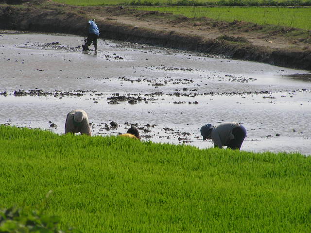 Foto de Pacasmayo, Perú