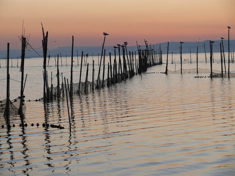 Foto de Valencia (València), España