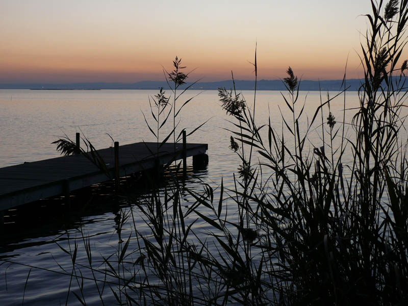 Foto de Valencia (València), España