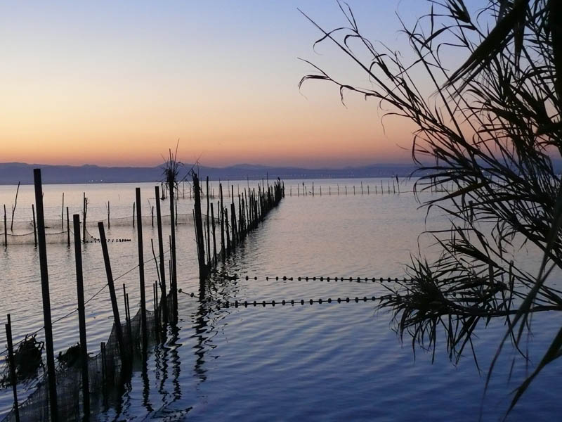 Foto de Valencia (València), España