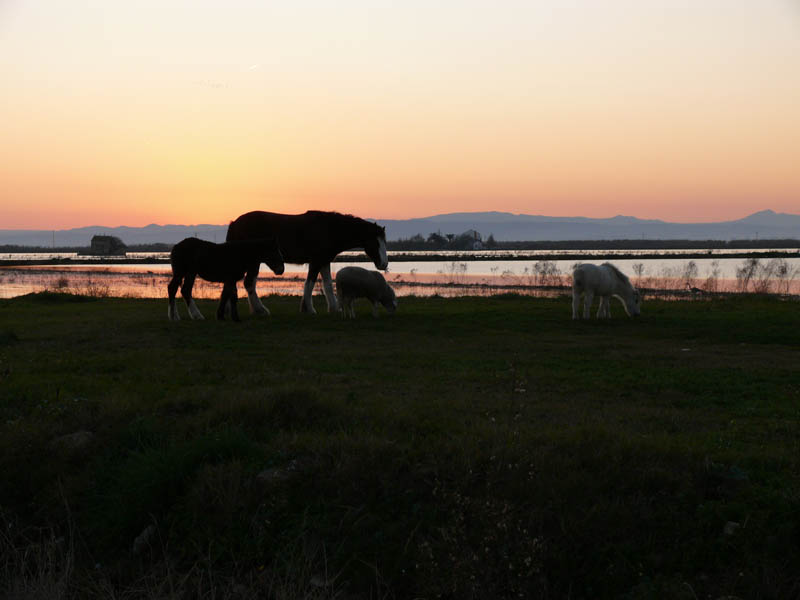 Foto de Alfafar (València), España