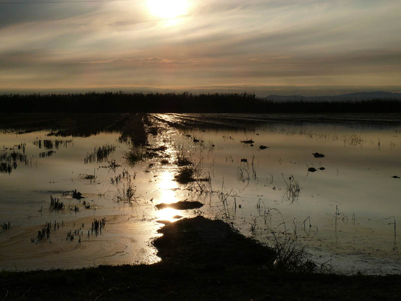 Foto de Massanassa (València), España