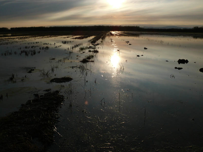 Foto de Massanassa (València), España