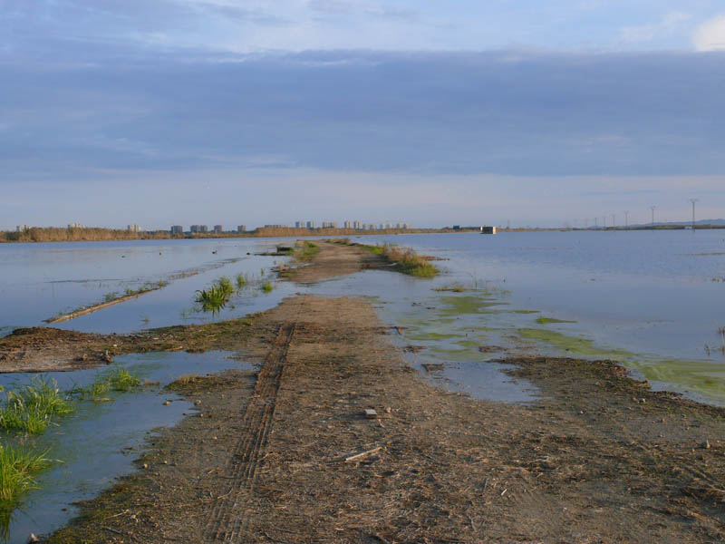 Foto de Massanassa (València), España