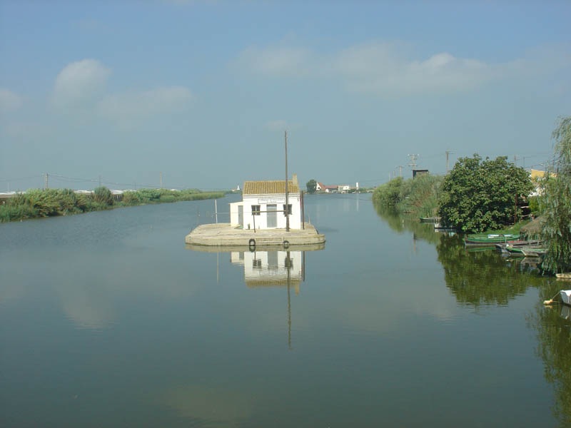Foto de El Palmar (València), España