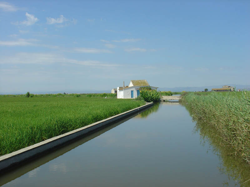 Foto de Sueca (València), España