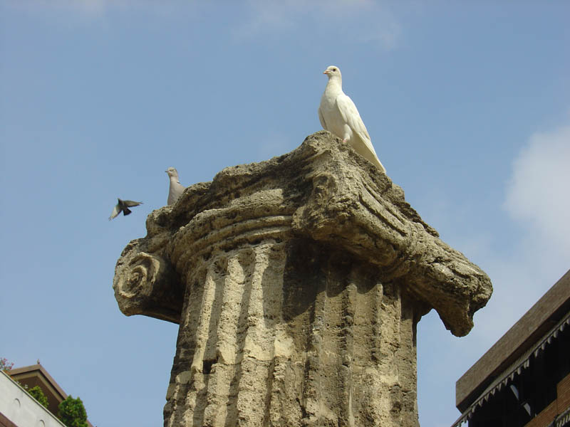 Foto de Valencia (València), España