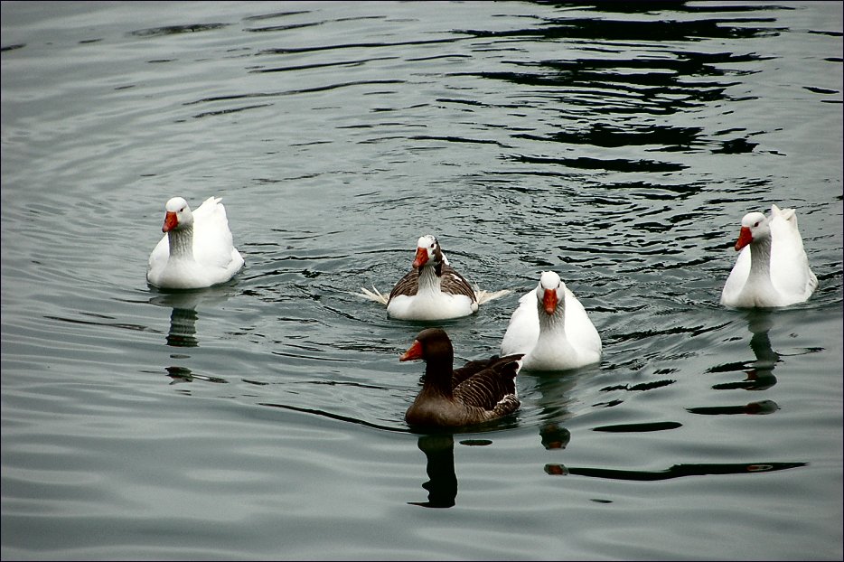 Foto de Aranjuez (Madrid), España