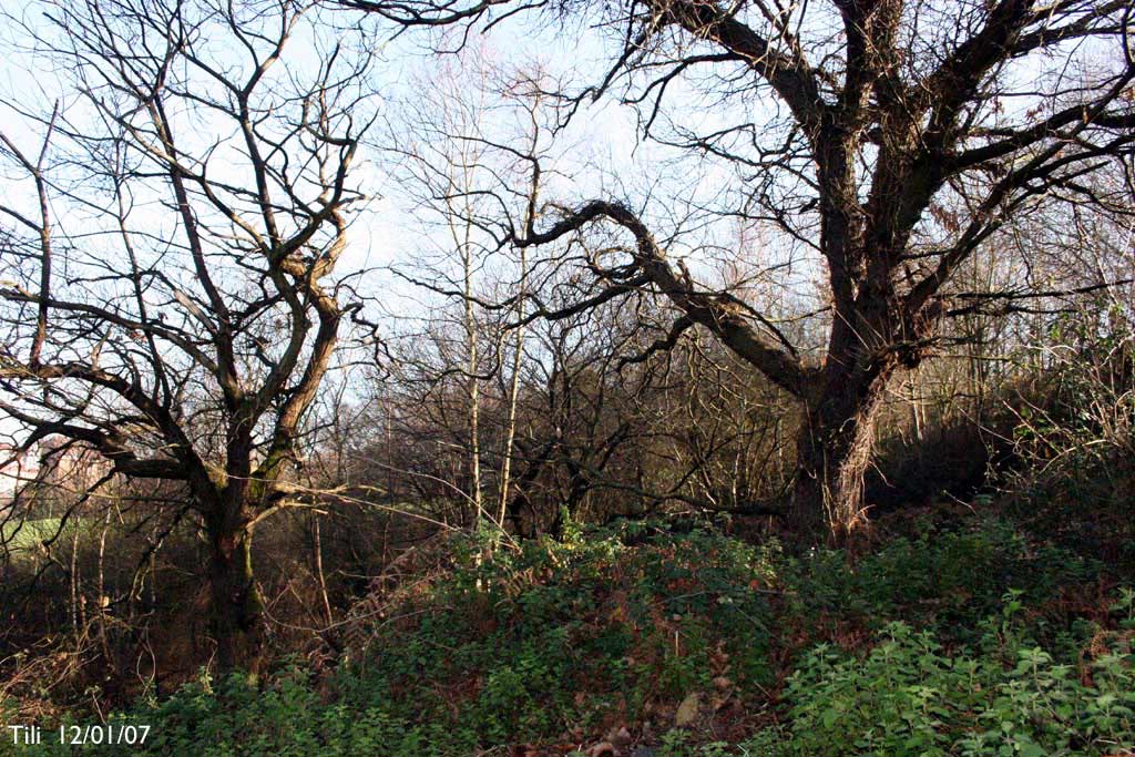 Foto de Oviedo (Asturias), España