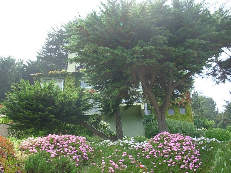 Foto de ZAPALLAR, Chile