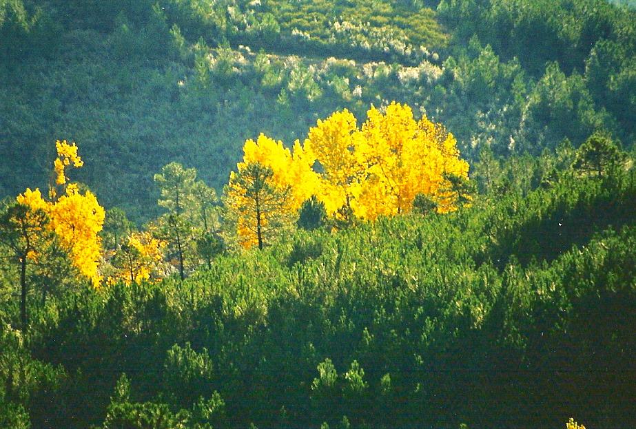 Foto de Ovejuela (Cáceres), España