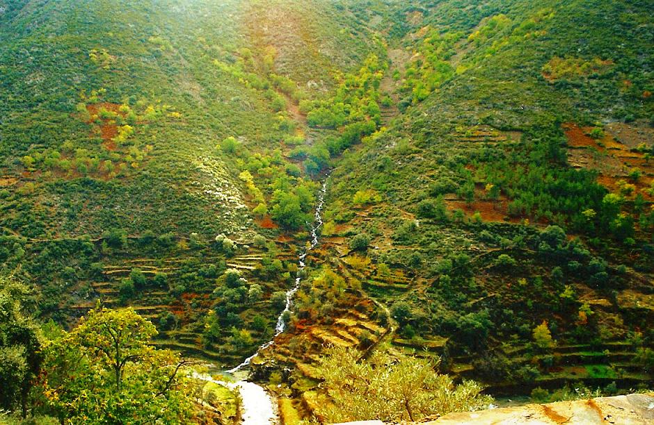 Foto de Ovejuela (Cáceres), España