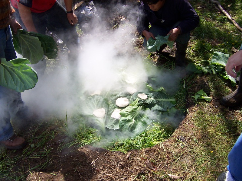 Foto de Chepu (Chiloé), Chile