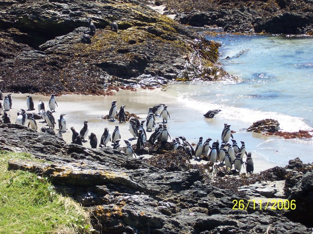 Foto de Ahuenco (Chiloé), Chile