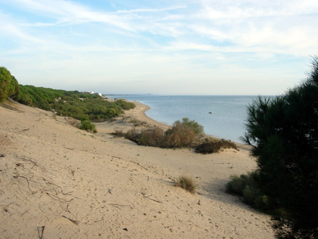 Foto de Cartaya (Huelva), España