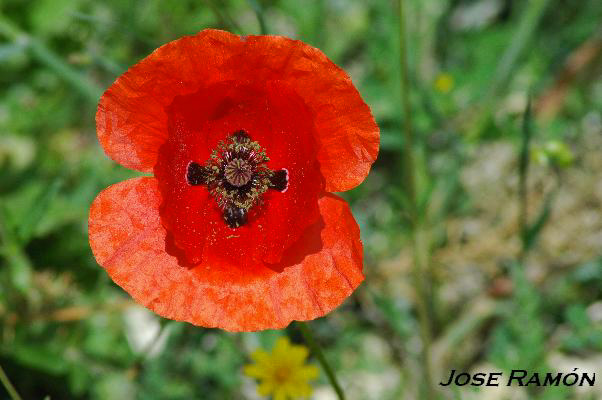 Foto de Zahara de la Sierra (Cádiz), España