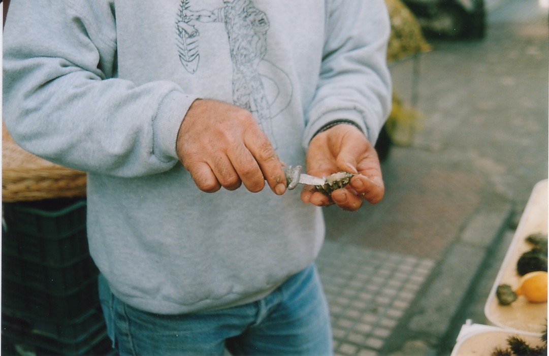 Foto de Cádiz (Andalucía), España