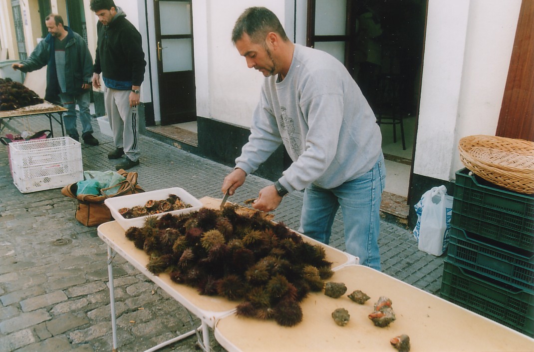 Foto de Cádiz (Andalucía), España