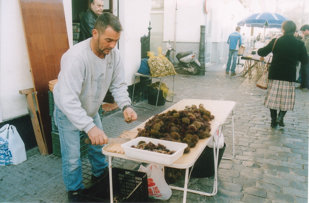 Foto de Cádiz (Andalucía), España