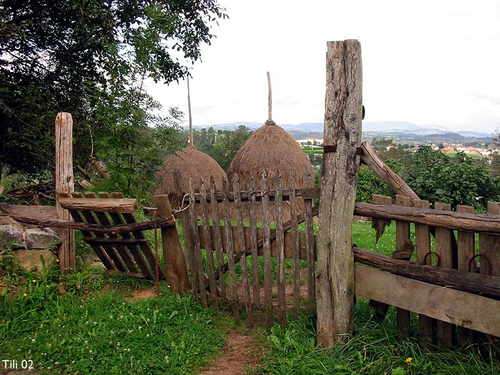 Foto de La Manjoya (Asturias), España