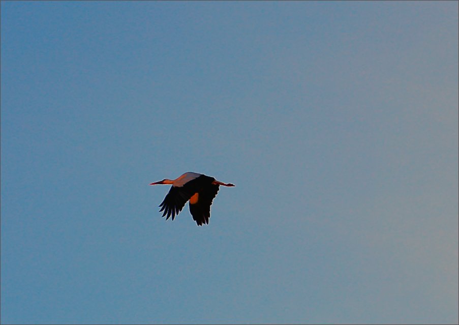 Foto de Villacastín (Segovia), España