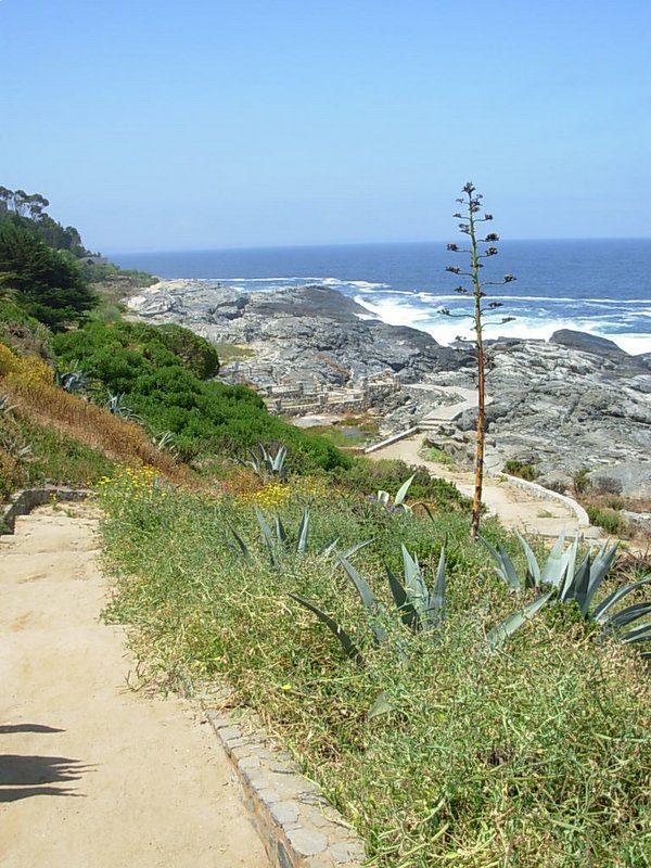 Foto de ZAPALLAR, Chile