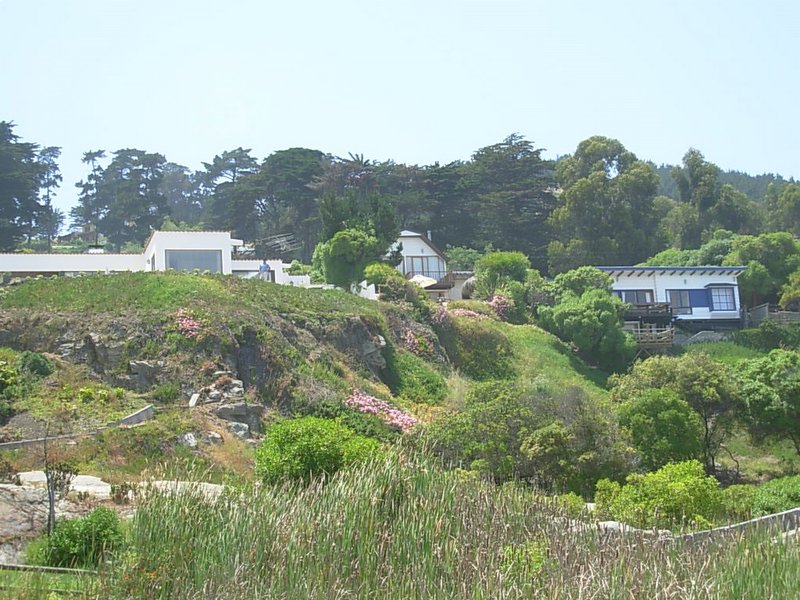 Foto de ZAPALLAR, Chile