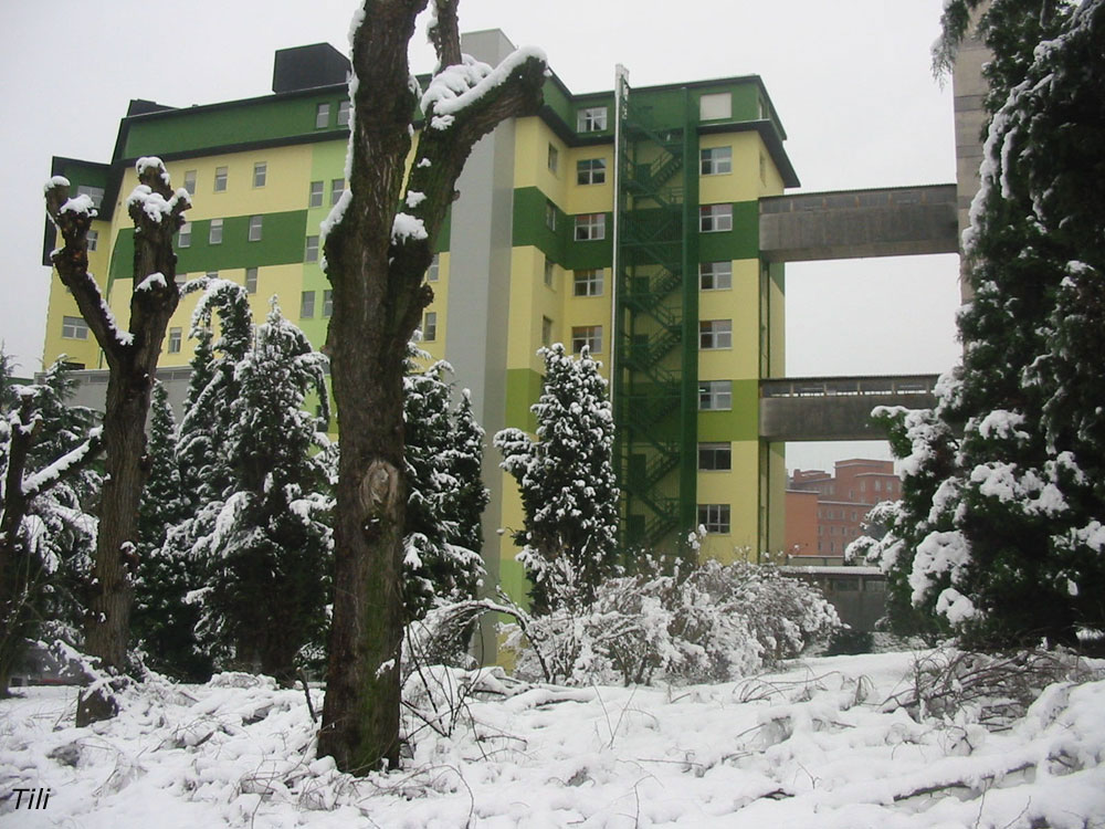 Foto de Oviedo (Asturias), España
