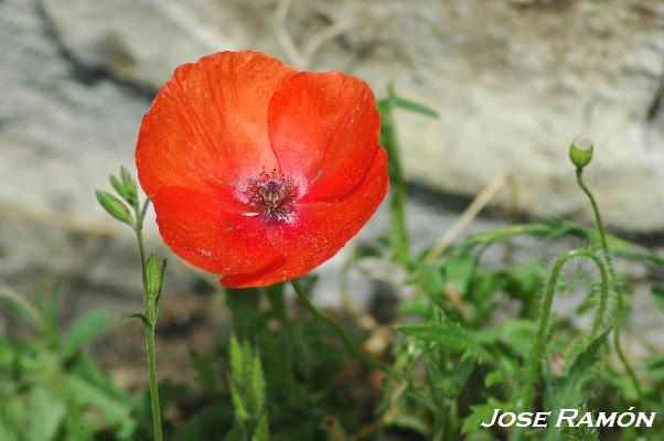 Foto de Zahara de la Sierra (Cádiz), España