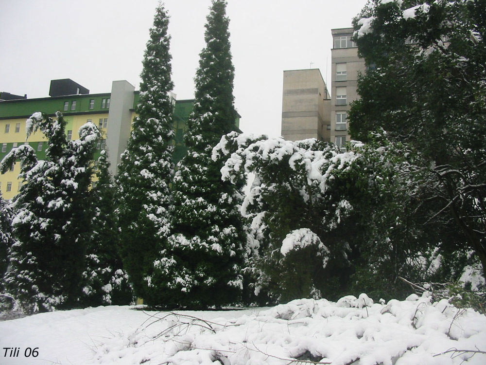 Foto de Oviedo (Asturias), España
