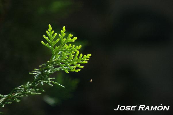 Foto de Puerto Real (Cádiz), España