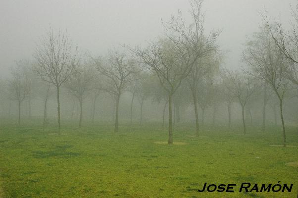 Foto de Jerez  de la Frontera (Cádiz), España
