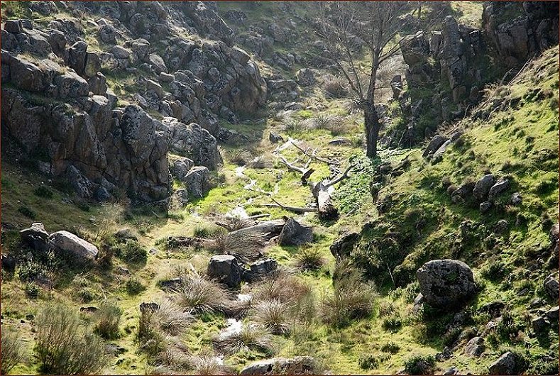 Foto de Toledo (Castilla La Mancha), España