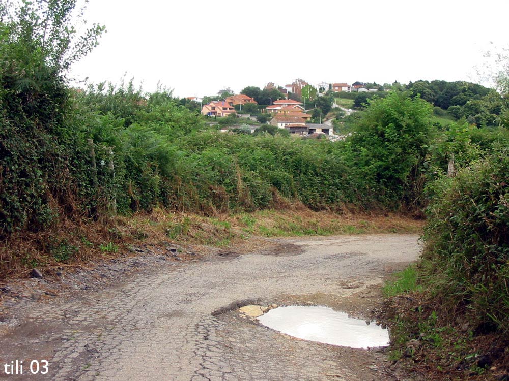 Foto de La Manjoya (Asturias), España