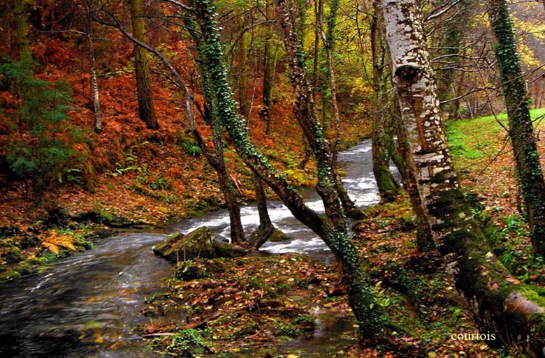 Foto de Sargadelos (Lugo), España