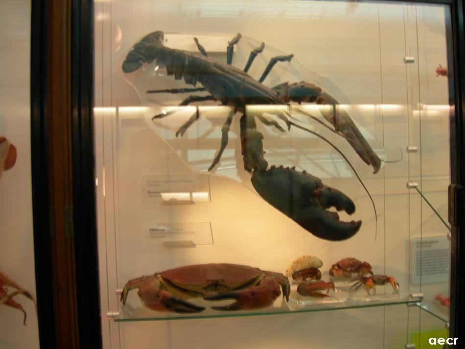 Foto de Londres, El Reino Unido